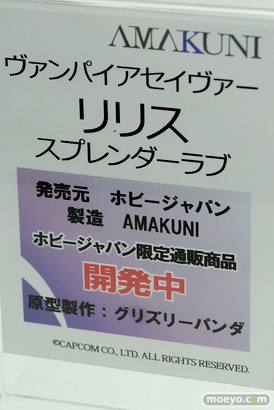 メガホビEXPO 2017 Spring ホビージャパンブースの新作フィギュア展示の様子39