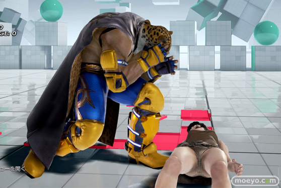 鉄拳7のリリやカタリーナやシャオユウやニーナや飛鳥やアリサのエロパンツ画像27