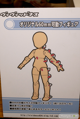 画像　サンプル　レビュー　フィギュア　【トレジャーフェスタin有明17】　イグルーシカ ヴィヴィドネス チヒロヘント 08