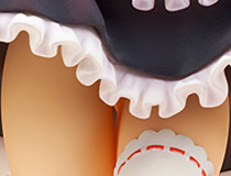 正統派メイドコスなのになぜか色っぽい。キューズQ新作フィギュア「ToLOVEる-とらぶる-ダークネス 結城美柑 メイドStyle」予約受付開始！