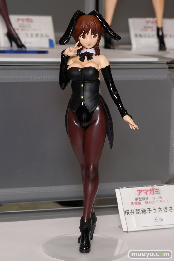 画像　サンプル　レビュー　フィギュア　【トレジャーフェスタin有明17】　ゴリラモーター デモリションマン ドールハウス宇都宮 08