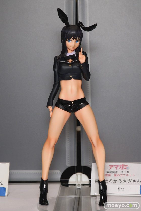 画像　サンプル　レビュー　フィギュア　【トレジャーフェスタin有明17】　ゴリラモーター デモリションマン ドールハウス宇都宮 13