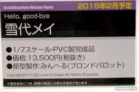 ワンダーフェスティバル2017[夏]のオーキッドシードブースの新作フィギュア画像44