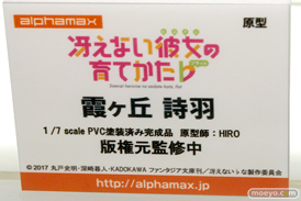 ワンダーフェスティバル2017[夏]のアルファマックス　スカイチューブブースの新作フィギュア画像09