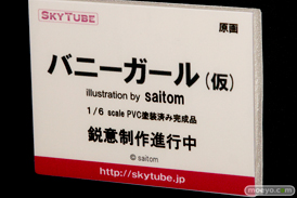 ワンダーフェスティバル2017[夏]のアルファマックス　スカイチューブブースの新作フィギュア画像43