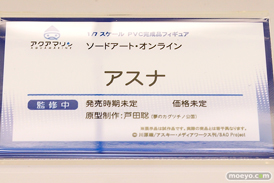 ワンダーフェスティバル2017[夏]のアクアマリンブースの新作フィギュア画像15