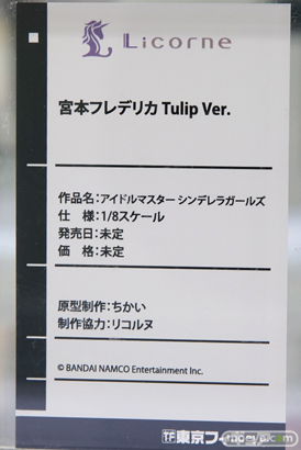秋葉原での新作フィギュア展示の様子22