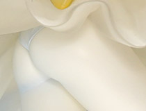 グランドトイズ新作フィギュア「デート・ア・ライブII 誘宵美九」予約受付開始！【WF2017夏】