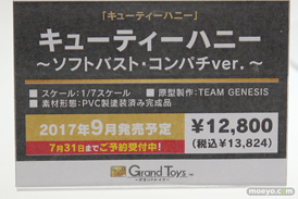 ワンダーフェスティバル2017[夏]のグランドトイズブースの新作フィギュア画像23