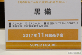 ワンダーフェスティバル2017[夏]のグランドトイズブースの新作フィギュア画像62
