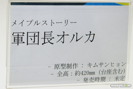 ワンダーフェスティバル2017[夏]のマイルストン/エンブレイスジャパンブースの新作フィギュア画像 12
