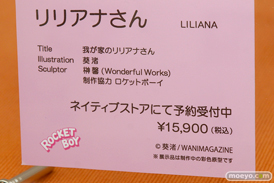 ワンダーフェスティバル2017[夏]のロケットボーイ セカンドアックス プログレス ブースの新作フィギュア画像24