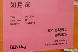 ワンダーフェスティバル2017[夏]のバインディング BINDing ブースの新作フィギュア画像09