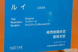 ワンダーフェスティバル2017[夏]のネイティブブースの新作フィギュア画像18