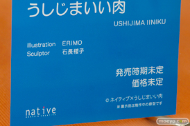 ワンダーフェスティバル2017[夏]のネイティブブースの新作フィギュア画像21