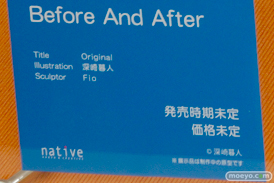 ワンダーフェスティバル2017[夏]のネイティブブースの新作フィギュア画像30