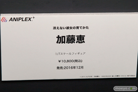 C3AFA TOKYO 2017でのアニプレックスプラス5周年記念フィギュア展示の様子06