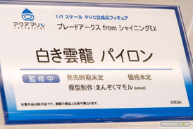 アクアマリンのブレードアークス from シャイニングEX 白き雲龍 パイロンの新作フィギュア原型画像11