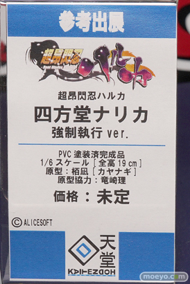 回天堂の超昂閃忍ハルカ 四方堂ナリカ 強制執行ver.の新作フィギュア原型画像10