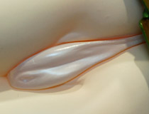 カルミアプロジェクト新作フィギュア「yapo オリジナルフィギュア ホワイトエルフ」予約受付開始！