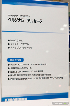 第57回 全日本模型ホビーショー　アオシマ　アクアマリン　アゾン　ブース画像36