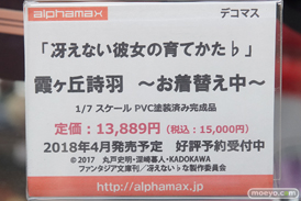 秋葉原の新作フィギュア展示の様子18