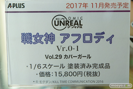 秋葉原の新作フィギュア展示の様子39