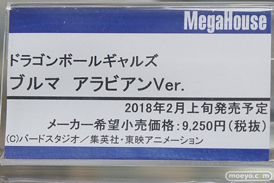 秋葉原の新作展示の様子06