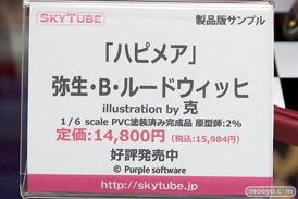 秋葉原の新作展示の様子26