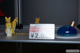 画像　フィギュア　サンプル　レビュー　ワンダーフェスティバル 2017［夏］　MJSガレージキット Vispo ここのえ工房 07