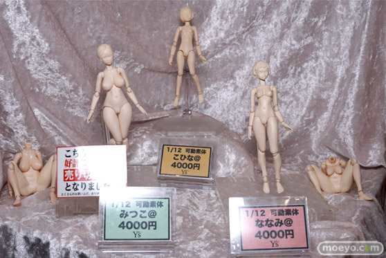 画像　フィギュア　サンプル　レビュー　ワンダーフェスティバル 2017［夏］　Solid Lab Y’sプラス 鉄虎竜 08