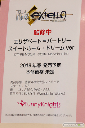 ファニーナイツのフェイト/エクステラ エリザベート＝バートリー スイートルーム・ドリーム ver.の新作フィギュア原型画像10