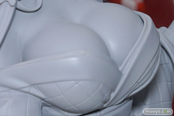 フレアの八宝備仁画集「紅蝶（ほてり）」カバーイラスト（仮）の監修中原型画像08