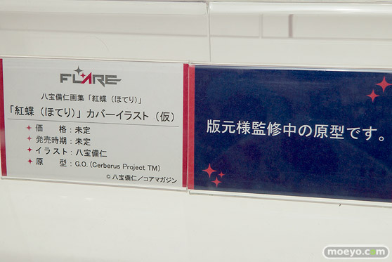 フレアの八宝備仁画集「紅蝶（ほてり）」カバーイラスト（仮）の監修中原型画像13