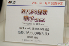 宮沢模型 第40回 商売繁盛セール　新作フィギュア展示速報画像　エイプラス　ドラゴントイ　アルゴ舎　Q-six　オーキッドシード　ダイキ工業　回天堂　レチェリー04