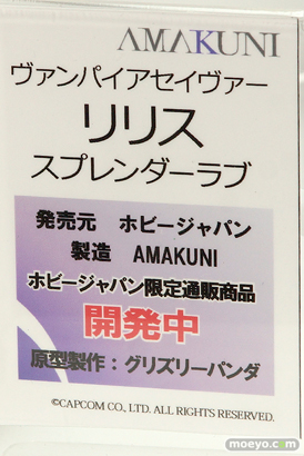 メガホビEXPO 2017 Autumn 新作フィギュア展示の様子　ホビージャパン11