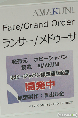 メガホビEXPO 2017 Autumn 新作フィギュア展示の様子　ホビージャパン22