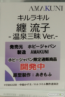 メガホビEXPO 2017 Autumn 新作フィギュア展示の様子　ホビージャパン35