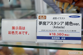 秋葉原の新作フィギュア展示の様子　あみあみ　コトブキヤ　ソフマップ18