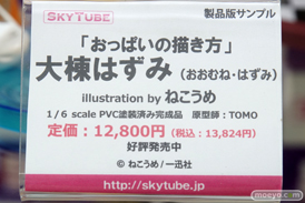 秋葉原の新作フィギュア展示の様子　あみあみ秋葉原ラジオ会館店　アキバ☆ソフマップ1号店30