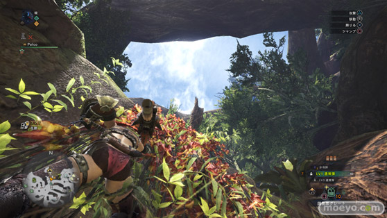 モンスターハンター:ワールド ベータテスト版 紳士的レポート08