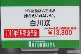秋葉原新作フィギュア展示の様子10