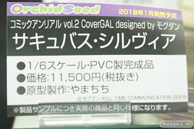 秋葉原の新作フィギュア展示の様子33