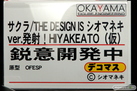 ワンダーフェスティバル 2018［冬］岡山フィギュア・エンジニアリングブース特集画像08