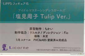ワンダーフェスティバル 2018［冬］東京フィギュアブース特集画像11