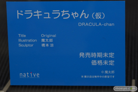 ワンダーフェスティバル 2018［冬］ネイティブ　ロケットボーイ　ブース特集画像12