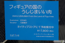 ワンダーフェスティバル 2018［冬］ネイティブ　ロケットボーイ　ブース特集画像15