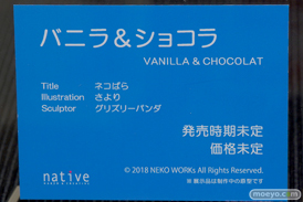 ワンダーフェスティバル 2018［冬］ネイティブ　ロケットボーイ　ブース特集画像24