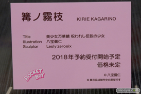 ワンダーフェスティバル 2018［冬］ネイティブ　ロケットボーイ　ブース特集画像45