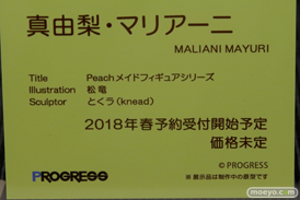 ワンダーフェスティバル 2018［冬］BINDing　十娯屋商店 セカンドアックス　プログレス ブース特集画像50